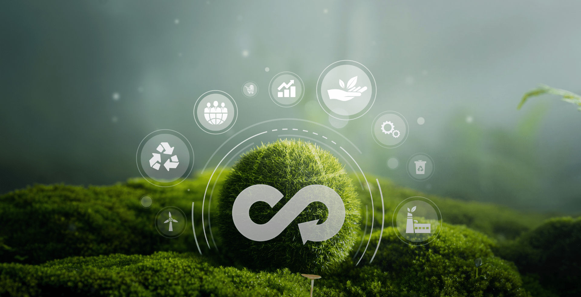 climate